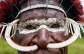 Portrait of Dani tribe in a beautiful headdress made of feathers.